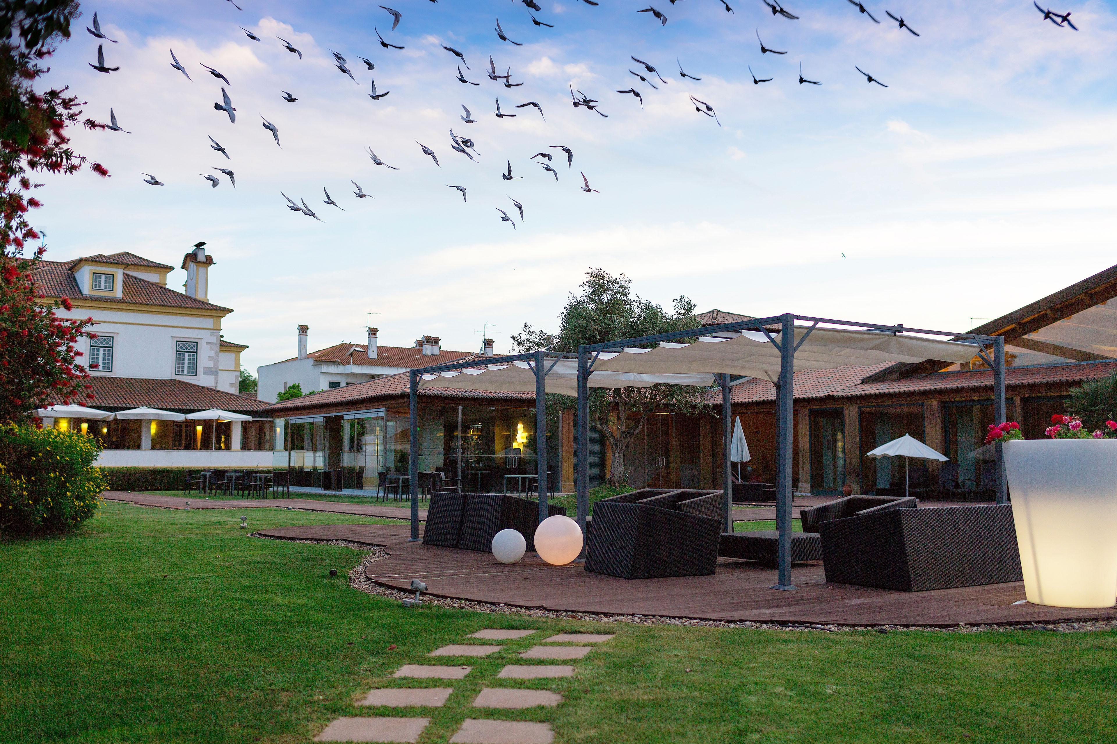 Hotel Lusitano Golegã Exterior foto